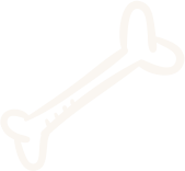 bone