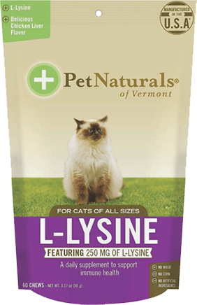 pet food 1