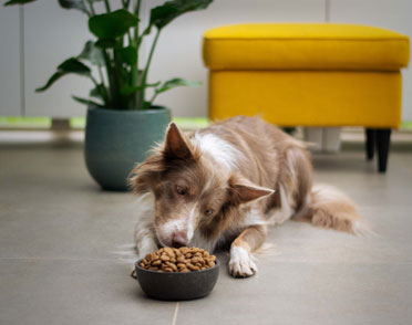 service single small