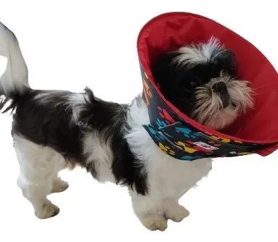 Colar Elizabetano Em Tecido Para Shih Tzu / Ihasa Apso