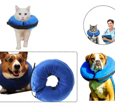 Colar Elizabetano Recuperação Pós Cirúrgico Tam M: 25-36cm