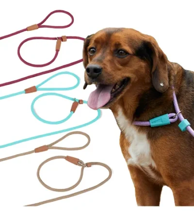 Coleira Guia Unificada Enforcador De Corda 9mm Adestramento 1,10m Cor Azul Marinho Toh Dog