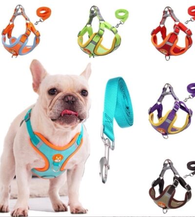 Coleira Peitoral Cachorro E Gato, Conjunto De Guia + Coleira Tipo Colete Para Pet Pequenos E M?dios