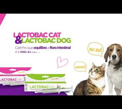 Lactobac Cat e Dog - Organnact