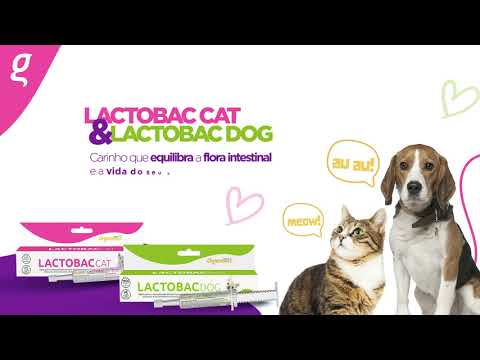 Lactobac Cat e Dog - Organnact