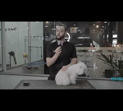 Rasqueadeira Flexível Propetz