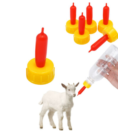 5 Bico Mamadeira Ovinos Cordeiro Garrfa Pet