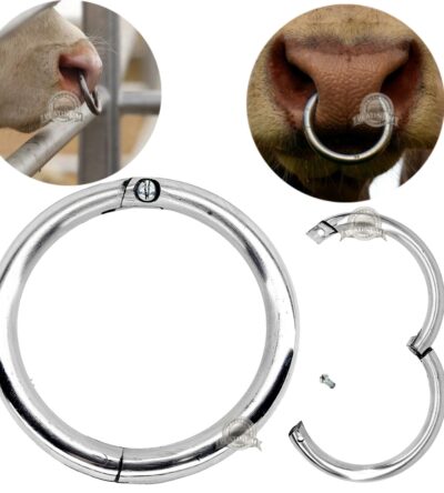 Argola Formigão Para Montaria Educar Boi Vaca Resistente Inox Focinho de Boi Nariz Amansar