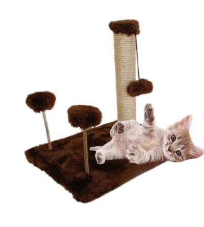 Arranhador poste Sisal arranhador de gato oferta relâmpago poste e mola brinquedos Pet brinquedo gato brinquedo de gato