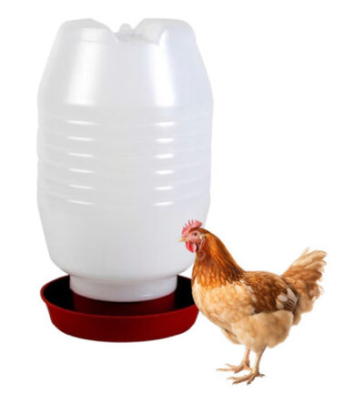 Bebedouro aves 5 litros para aves (3 unidades)