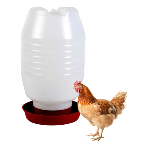 Bebedouro aves 5 litros para aves (3 unidades)