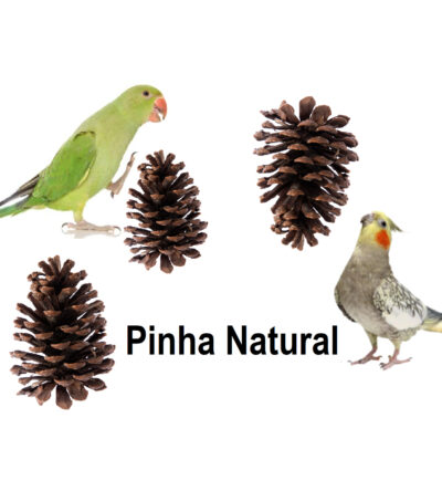 Brinquedo para Calopsita Pinha Natural Agaporni Periquito Ring Neck Papagaio e Roedores