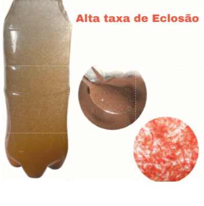 Cisto de Artêmia Salina 50g Alta Taxa de Eclosão – Alimentação Nutritiva para Seus Peixes