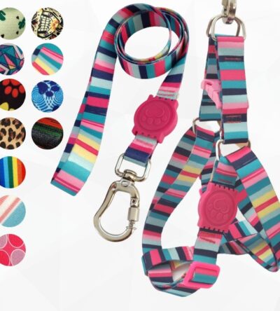 Coleira Peitoral Americano Para Cachorro e Gato Pet com Guia e Trava Dupla de Segurança