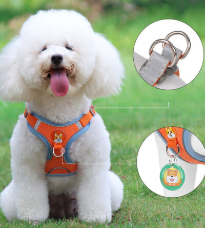 Conjunto Pet Coleira Peitoral + Guia Cachorro e Gato Respirável