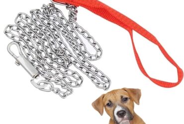 Corrente Guia Coleira Metal para Cachorro C?es Pet Adestramento Passeio para Prender Resistente Forte