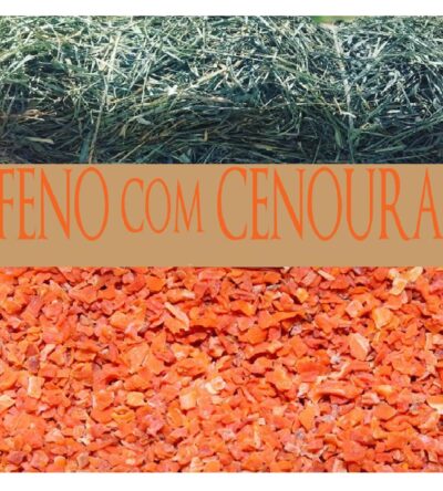 Feno Coast Cross Premium 500g com Cenoura- NUTRIPANSPETS