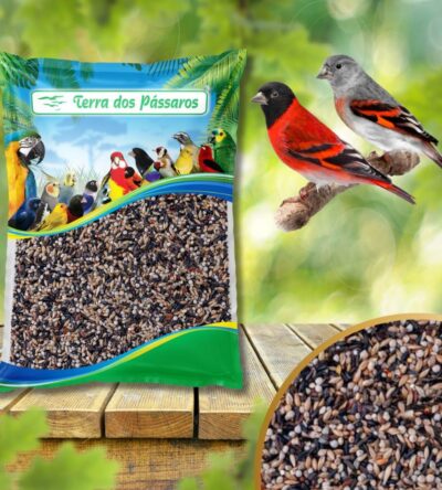 Mistura de Sementes para Tarim - Pintassilgo da Venezuela - 500g