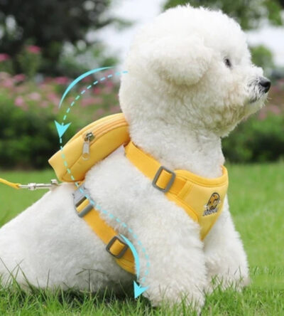 Peitoral Coleira Com Guia e Bolsa Removível Para Cachorro Pet Cães Pequenos E Médios Gato De Viagem