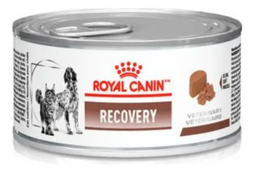 Recovery alimento royal canin veterinary diet canine para cão adulto 195g